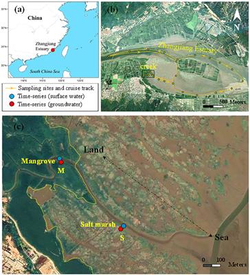 Porewater exchange drives the dissolved silicate export across the wetland‐estuarine continuum